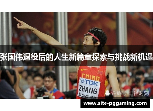 张国伟退役后的人生新篇章探索与挑战新机遇